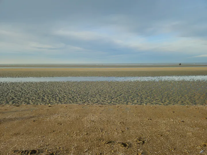 Oostnieuwkerke duinen wandeling in de koude (België)